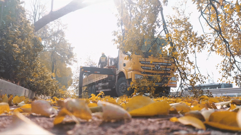 平博·(pinnacle)官方网站