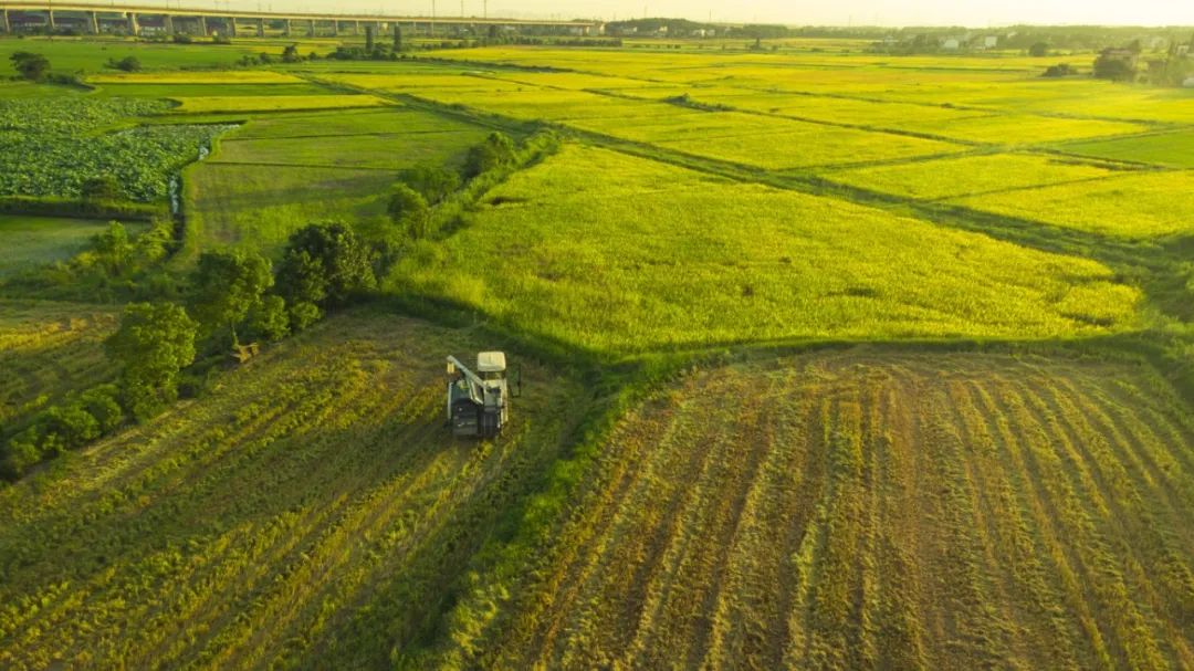 平博·(pinnacle)官方网站