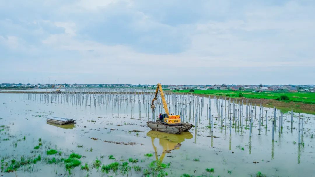 平博·(pinnacle)官方网站