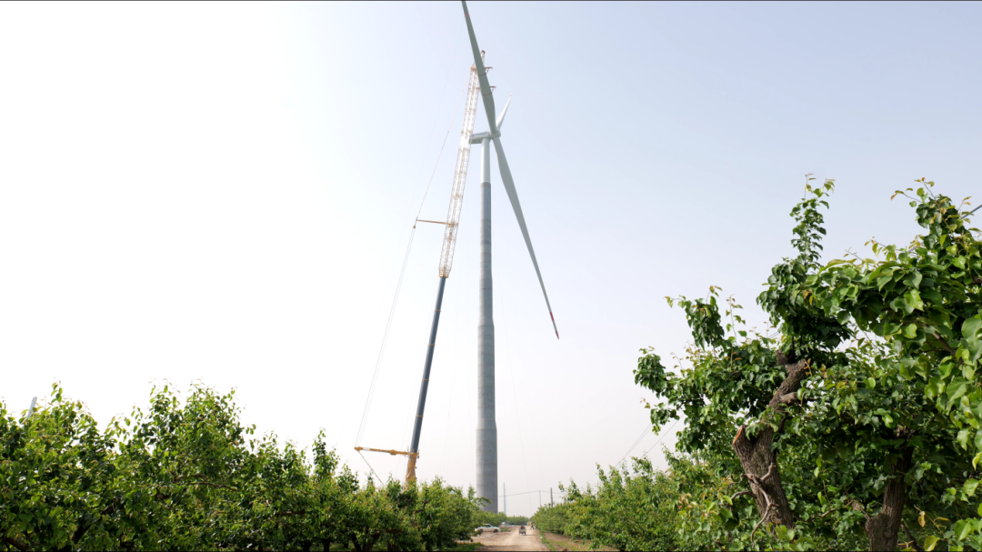 平博·(pinnacle)官方网站